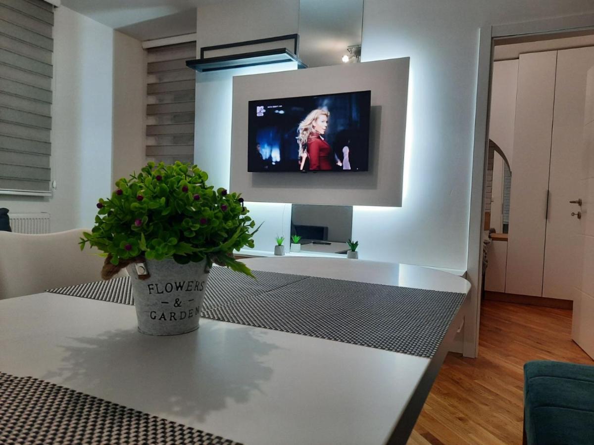 Apartman Matija 帕莱 外观 照片